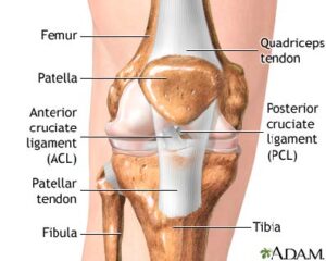 Knee Arthroscopy Discharge