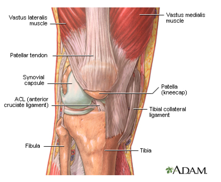 knee replacement, knee replacement, surgery, knee arthroplasty, total knee replacement